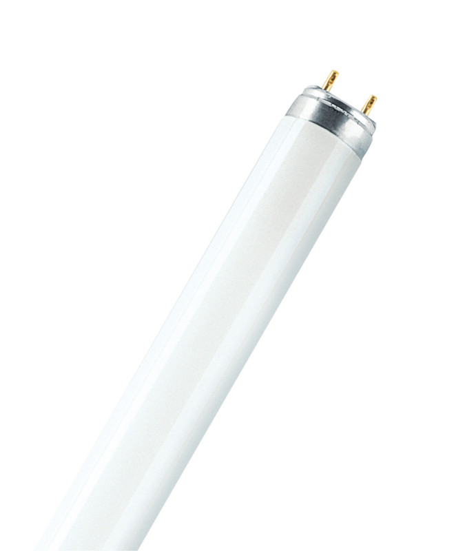 Žiarivka L 18W/865 G13 4050300517773